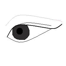 eyeline.jpeg
